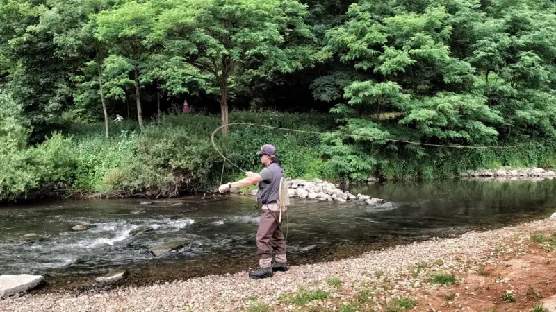 Ein Angler übt die fliegenfischen wurftechnik an einem Fluss. Die Schnur bildet einen eleganten Bogen in der Luft.