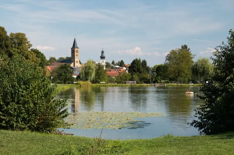 Idyllischer Elsenzer See mit Seerosen, Bäumen und einer Kirche im Hintergrund. Ein Boot mit zwei Personen treibt auf dem Wasser.